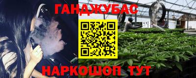 мяу мяу мука Кандалакша