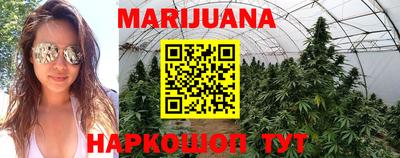 мяу мяу мука Кандалакша