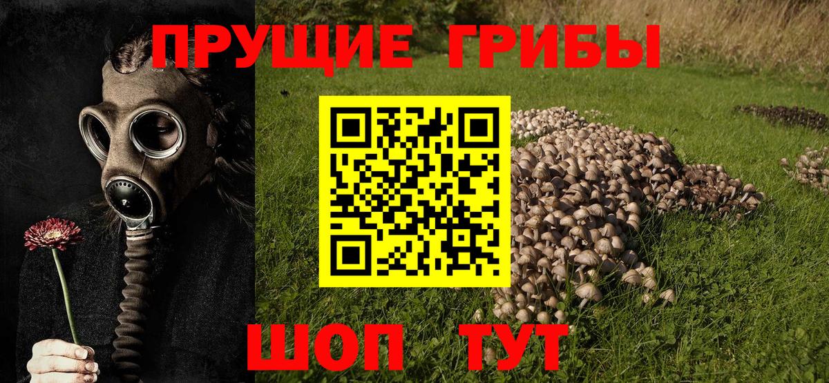 Псилоцибиновые грибы Magic Shrooms Краснокаменск