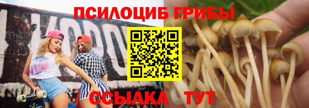 купить закладку  Галлюциногенные грибы прущие грибы  Вход с VPN  Краснокаменск 